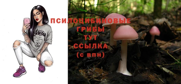 прущие грибы Баксан