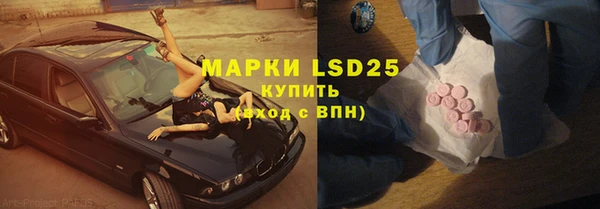прущие грибы Баксан