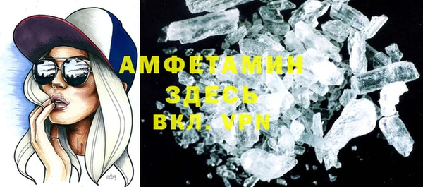 прущие грибы Баксан